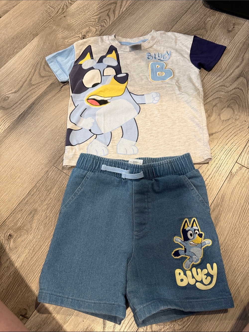 Bluey 4T Boys Matching Shorts Set
